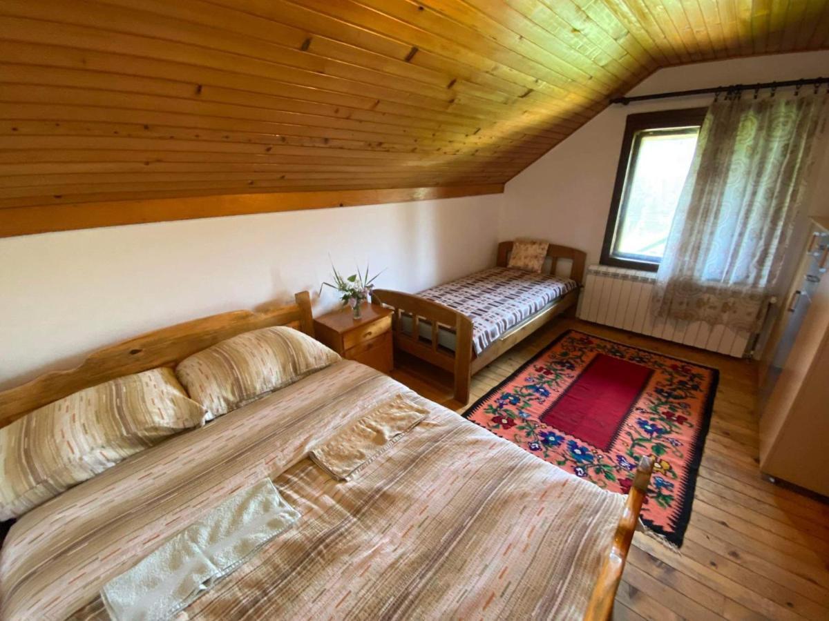 Mystic Forest Hostel Mitrovac Εξωτερικό φωτογραφία